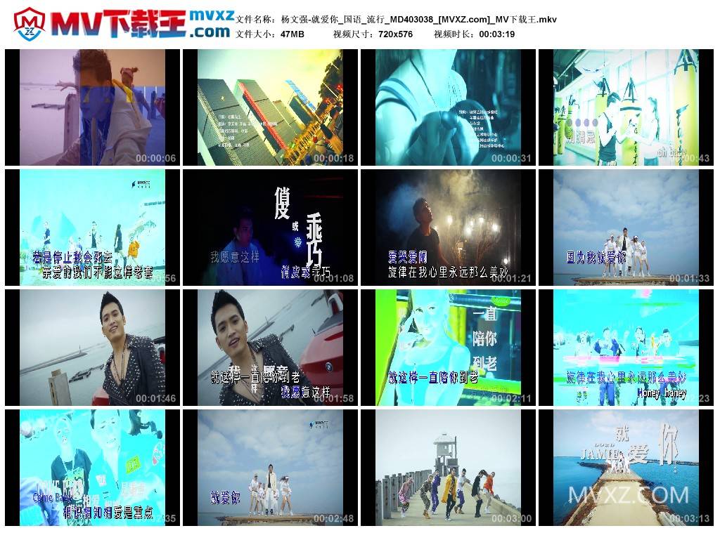 杨文强-就爱你_国语_流行_MD403038